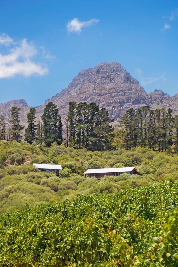 Bush Lodge At Hidden Valley Wines Stellenbosch Exteriör bild