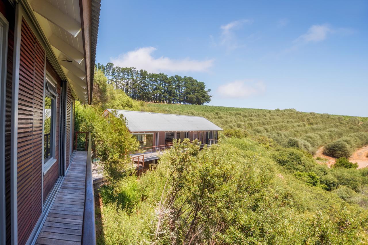 Bush Lodge At Hidden Valley Wines Stellenbosch Exteriör bild